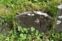 Bishopstone (Swindon) - St. Mary's Churchyard (38) - S. T.