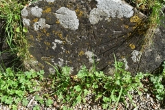 Bishopstone (Swindon) - St. Mary's Churchyard (40) - unknown