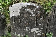 Bishopstone (Swindon) - St. Mary's Churchyard (42) - R. P.