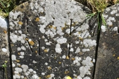 Bishopstone (Swindon) - St. Mary's Churchyard (57) - L. L., M. L.