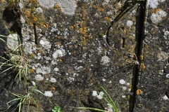 Bishopstone (Swindon) - St. Mary's Churchyard (70) - E. G.