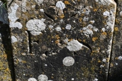 Bishopstone (Swindon) - St. Mary's Churchyard (72) - E. S