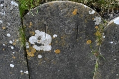 Bishopstone (Swindon) - St. Mary's Churchyard (13) - J. E. 1786
