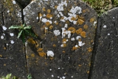 Bishopstone (Swindon) - St. Mary's Churchyard (17) - J. S. 1843, M. S. 1815