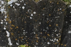 Bishopstone (Swindon) - St. Mary's Churchyard (23) - W. S. 1805, S. T. 1815