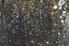 Bishopstone (Swindon) - St. Mary's Churchyard (29) - S. E. H. 1836