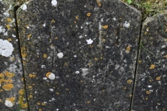 Bishopstone (Swindon) - St. Mary's Churchyard (30) - J. H. 1820