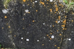 Bishopstone (Swindon) - St. Mary's Churchyard (32) - T. P. 1824