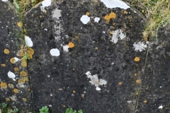 Bishopstone (Swindon) - St. Mary's Churchyard (33) - T. T. 1835