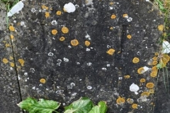 Bishopstone (Swindon) - St. Mary's Churchyard (34) - J. T. 1796