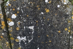 Bishopstone (Swindon) - St. Mary's Churchyard (35) - unknown