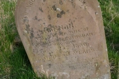 Hardingham, Hannah 1880