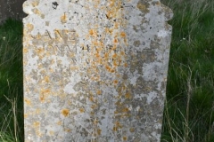 Hunt, Jane 1868