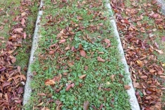 Keeling, Jennett 1919