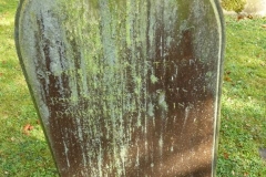 Stevens, Spencer Henry 1833