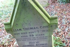 Goodwin, William T. 1892