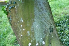 Stearn, Elizabeth S. 1882