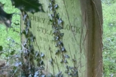 Stearn, Henry Bullock 1875