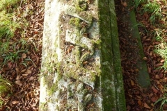 Unknown Ridged ledger