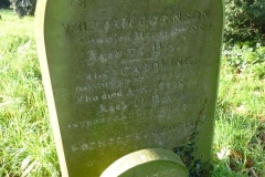 Robinson, William 1889