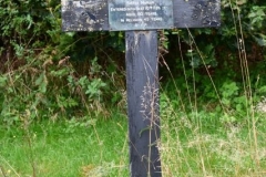 Ditchingham - All Hallows Graveyard - Marian (Sister) 1950 (1)