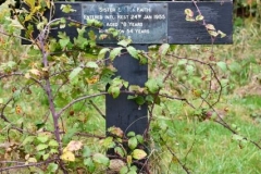 Ditchingham - All Hallows Graveyard - Sarah Faith (Sister) 1955 (1)