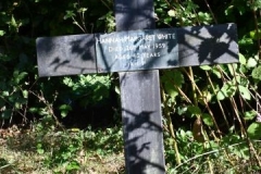 Ditchingham - All Hallows Graveyard - White, Hannah Margaret 1859