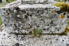 Ditchingham - Cemetery - Hipkin, Lucy 1899 (Mother Superior)