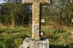 Ditchingham - Cemetery - Walsh, Margaret 1883  (Sister)