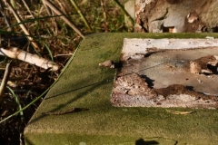 Ditchingham-Cemetery-plinth-1940-aged-82