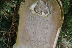 Ditchingham - Cemetery - Hawes, Elizabeth 1905