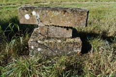 Ditchingham - Cemetery - Taylor, Bertie Lewis 1927