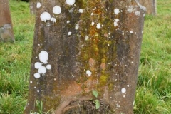 Ditchingham - Cemetery - Underwood, Elizabeth 1910