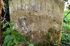 Ditchingham - St. Mary's Churchyard - Bloy, Mary 1790