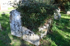 Ditchingham - St. Mary's Churchyard - Bloy