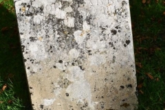 Ditchingham - St. Mary's Churchyard - Clarke, Honor 1814