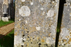 Ditchingham - St. Mary's Churchyard - Longe, Elizabeth 1787