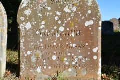 Ditchingham - St. Mary's Churchyard - Minns, Sarah Ann 1877