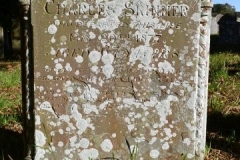 Ditchingham - St. Mary's Churchyard - Skinner, Charles 1877