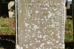 Ditchingham - St. Mary's Churchyard - Skinner, Maria 1885