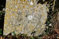 Ditchingham - St. Mary's Churchyard - Stamford, William 1837