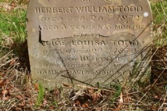 Ditchingham - St. Mary's Churchyard - Todd, Herbert W. 1872, Alice L. 1872