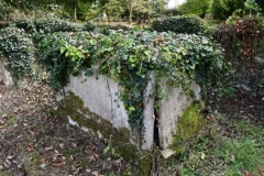 Ditchingham - St. Mary's Churchyard - Travers, Eaton S. 1858, Ann P. 1864 (1)