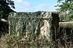 Ditchingham - St. Mary's Churchyard - Unknown Altar Tomb