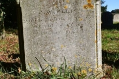 Ditchingham - St. Mary's Churchyard - Wells, Caroline 1868