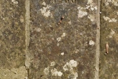 Ditchingham - St. Mary's Churchyard  - (Fairhead) W.F. 1900