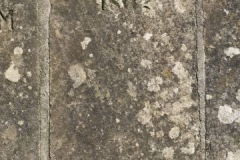 Ditchingham - St. Mary's Churchyard  - (Minns) A,G.M. 1862